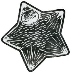 Niño Estrella, 2013